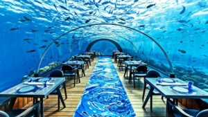 The World’s Most Extravagant Dining Experiences in 2024